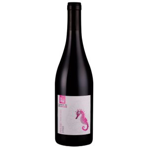 Bottle of Syrah Belle Mare Red Wine